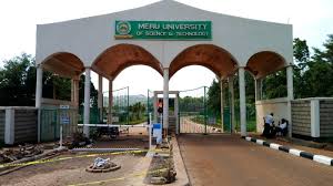 Meru University