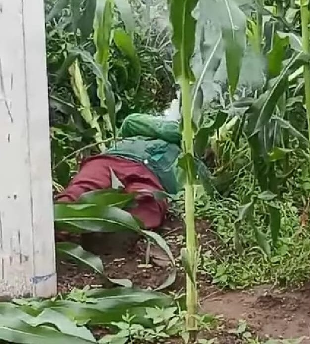 Man Electrocuted While Allegedly Attempting to Steal Electricity Wires in Navakholo District, Kakamega County Man Electrocuted While Allegedly Attempting to Steal Electricity Wires in Navakholo District, Kakamega County