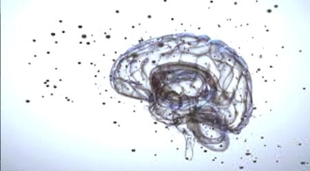 Why Does the Brain Forget?