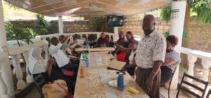 Team Alternative Leadership