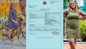 Governor Gideon Mungaro proxy companies