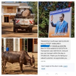 MP Peter Nabulindo’s Contribution Rejected