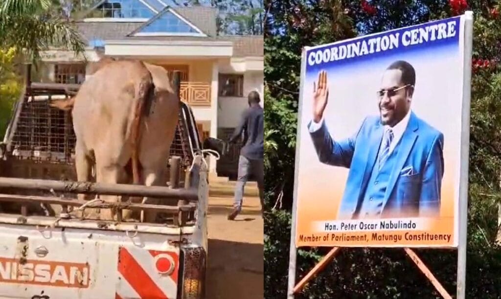 MP Peter Nabulindo’s Contribution Rejected