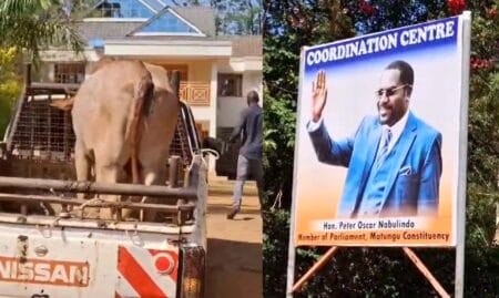 MP Peter Nabulindo’s Contribution Rejected