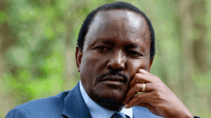 Stephen Kalonzo Musyoka