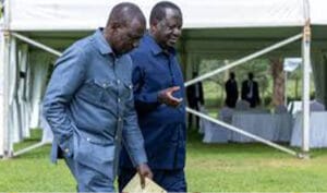 agreements between ODM and UDA