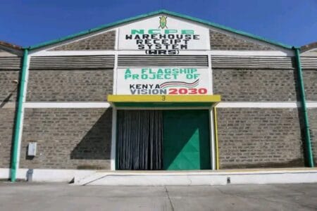 Hellen Nzisa Accused of Nepotism