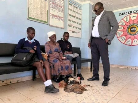 School Fees with Chickens