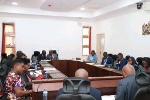 National Assemblys Departmental Committee