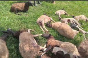 KAPSIRWOO VILLAGE IN CHERENGANY