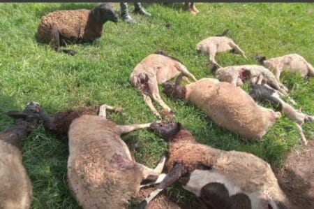 KAPSIRWOO VILLAGE IN CHERENGANY