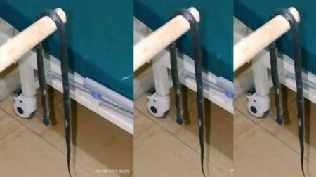 SNAKES IN SCRUBS KIAMBU DOCTORS SWAP SCALPELS FOR MACHETES IN HOSPITAL HORROR SHOW